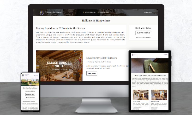 CSL_chateausureau.com-case-study