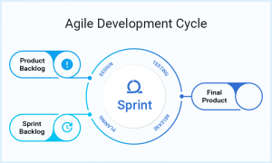 Agile Scrum Based Development