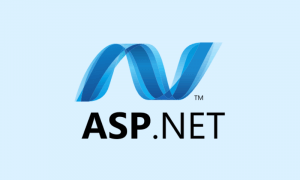 Asp.Net