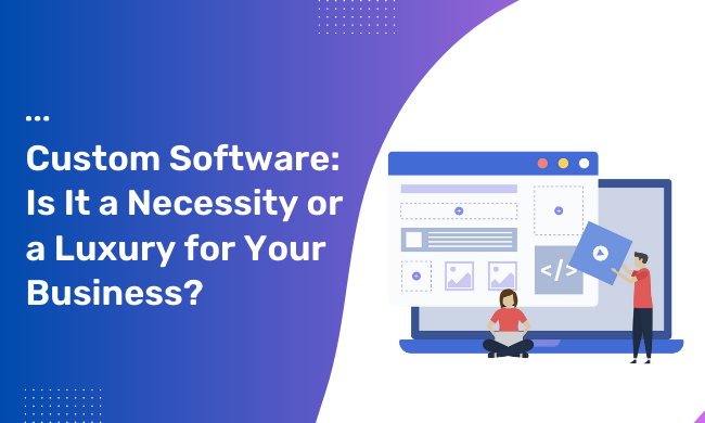 Custom Software: Is It a Necessity or a Luxury for Your Business?