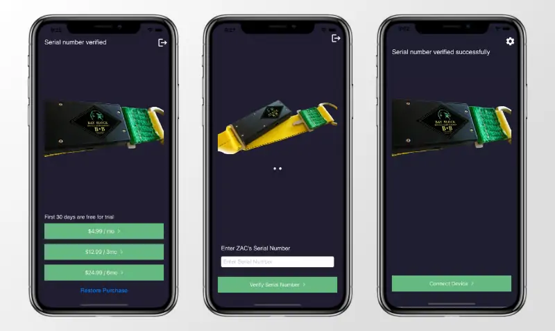 mobile app development