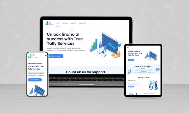 True Tally Services: Simplifying Financial Success with Expert Accounting Solutions Across the USA